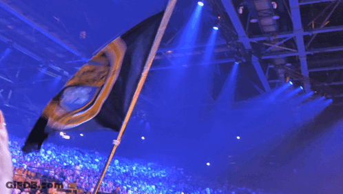 Crowd In Stadium With Flag Saying A GIF