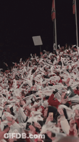 Crowd In Stadium With Flags Flying GIF