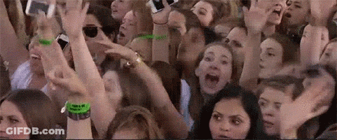 Crowd In Stadium With Hands In Air GIF