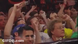 Crowd In Stadium With Hands Up And Do It Sign GIF
