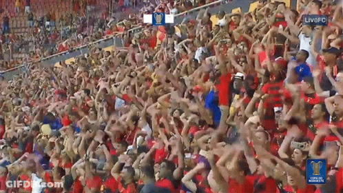 Crowd In Stadium With Live Fc GIF