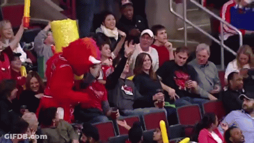 Crowd In Stadium With Mascot GIF