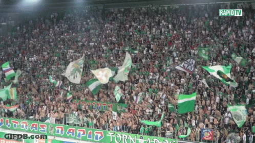 Crowd In Stadium With Rapid TV GIF