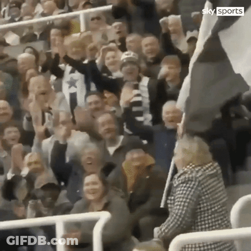Crowd In Stadium With Sky Sports GIF