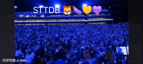 Crowd In Stadium With STTDB GIF