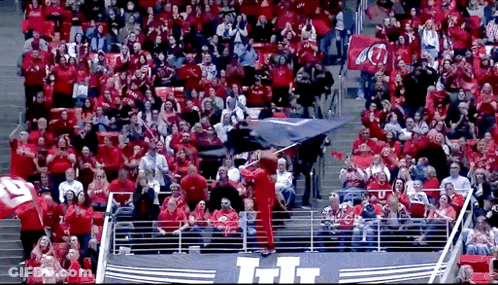 Crowd In Stadium With UI Banner GIF