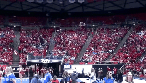 Crowd In Stadium With USA Banner GIF