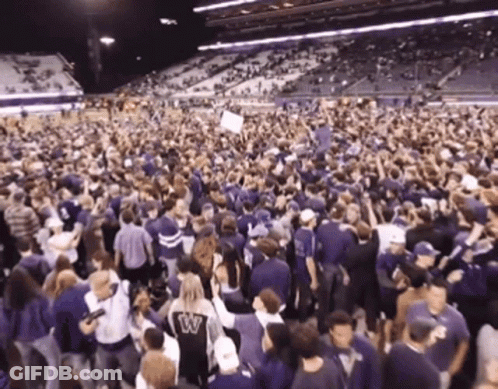 Crowd In Stadium With Woman Wearing W On Back GIF