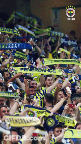 Crowd In Yellow And Blue Fenerbahce Scarves GIF