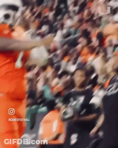 Crowd Of People Canesfootball GIF