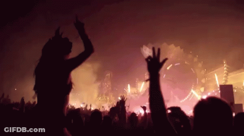 Crowd Of People Raising Arms At Concert GIF