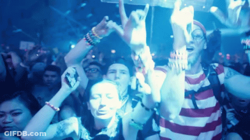 Crowd Of People With Arms In Air GIF