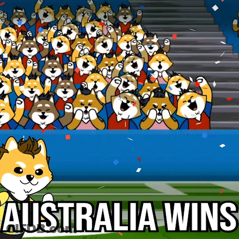Crowd Of Shiba Inu Dogs Cheering Australia Wins GIF