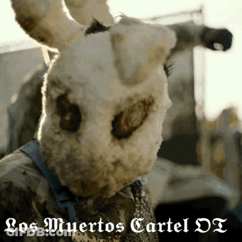 Crowd Omg You Showed Fuck Yeah Butthole Cartel GIF