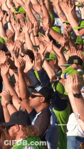 Crowd Raising Hands At Stadium GIF