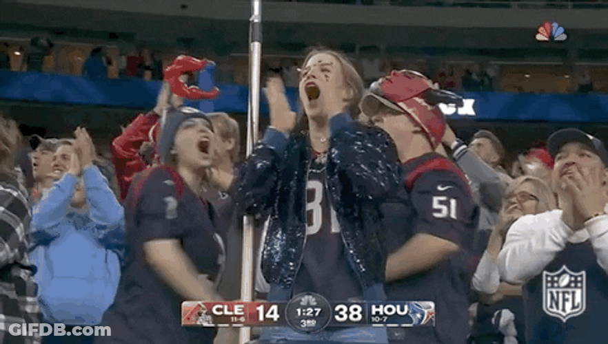 Crowd Screams For Houston Texans GIF