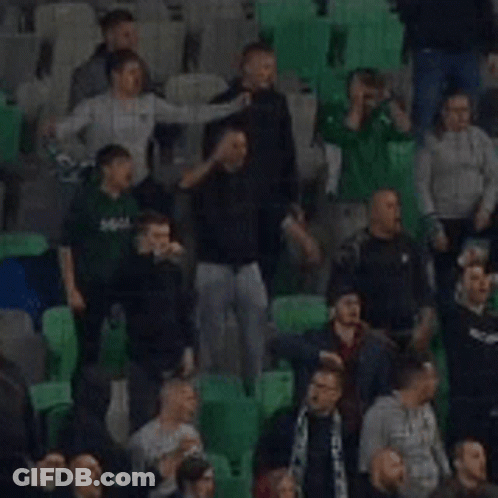 Crowd Sitting In Stadium Watching Game GIF