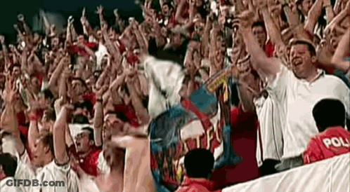 Crowd Standing In Stadium With Hands In Air GIF