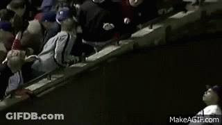 Crowd Watching Baseball Game GIF