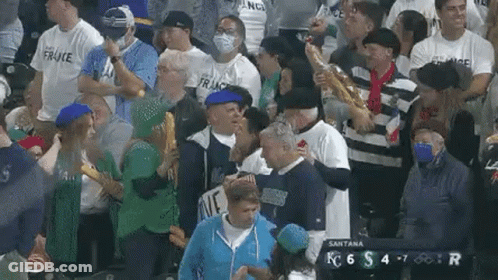 Crowd Watching Baseball Game In Stadium GIF