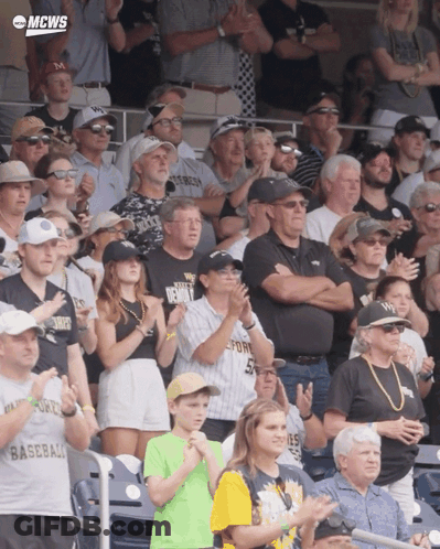 Crowd Watching Baseball Game With Detroit Shirt GIF