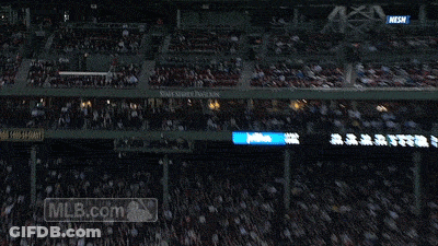 Crowd Watching Baseball Game With MLB.com GIF