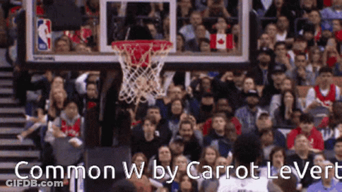 Crowd Watching Basketball Game GIF