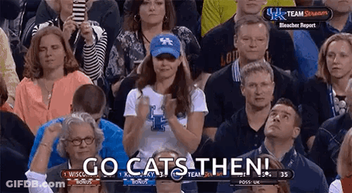 Crowd Watching Basketball Game Woman In Kentucky Hat Applauding GIF