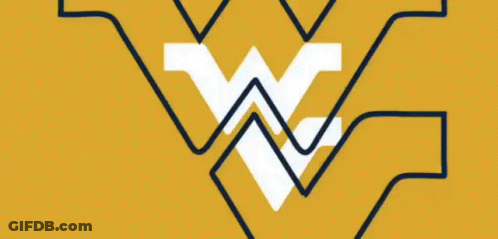 Crowd Watching Baylor Vs West Virginia Football Game GIF