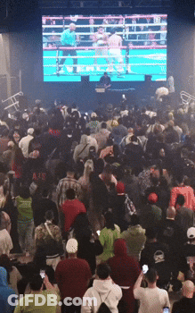 Crowd Watching Boxing Match GIF