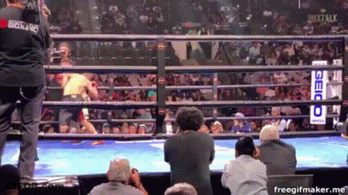 Crowd Watching Boxing Match With Geico Sign GIF