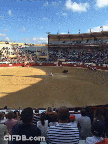 Crowd Watching Bullfight In Stadium Saying A GIF