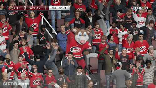 Crowd Watching Carolina Crows Vs Toronto Maple Leafs GIF