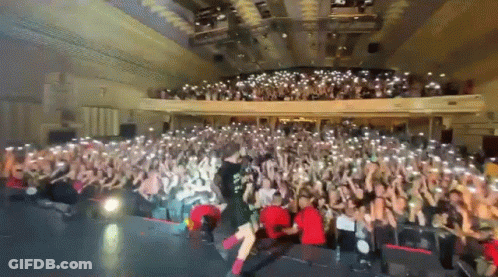 Crowd Watching Concert In Theater GIF