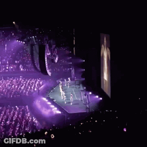 Crowd Watching Concert With Pink Sign GIF
