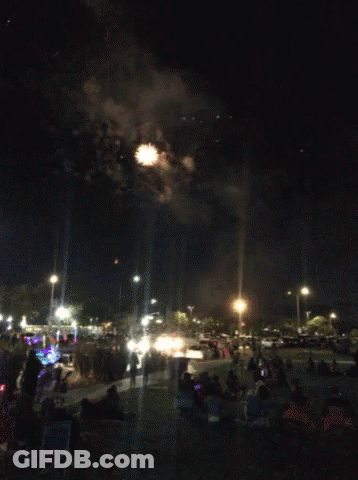 Crowd Watching Firework Display GIF