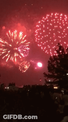 Crowd Watching Fireworks Display GIF