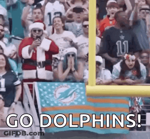 Crowd Watching Football Game Santa Taking Picture GIF