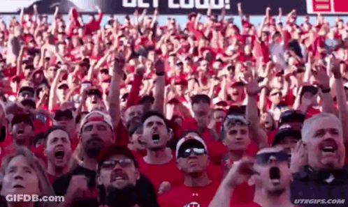 Crowd Watching Football Game With Arms In Air GIF