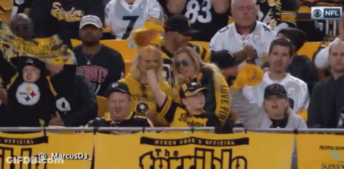 Crowd Watching Football Game With The Incredible Banner GIF