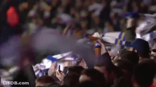 Crowd Watching Game Holding Up Flags GIF