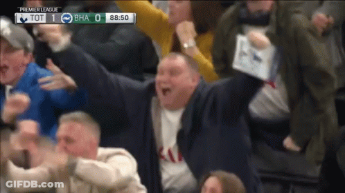 Crowd Watching Premier League Match GIF