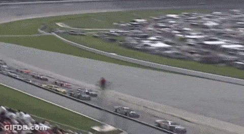 Crowd Watching Race In Stadium GIF