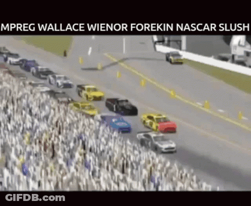 Crowd Watching Race Mpreg Wallace Wienor Forekin Nascar Slugs GIF
