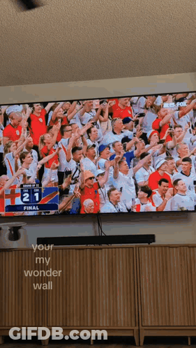 Crowd Watching Soccer Game Score 21-0 GIF