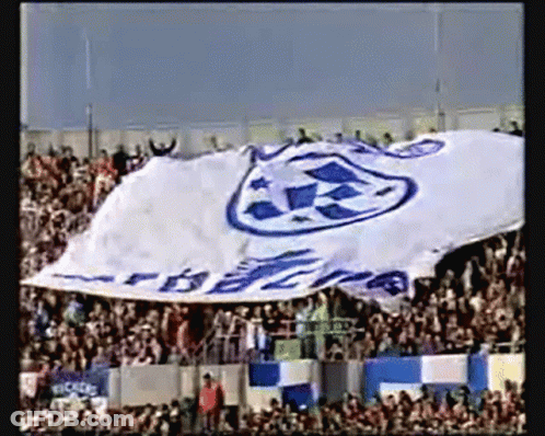 Crowd Watching Soccer Game With Blue And White Rescue Banner GIF