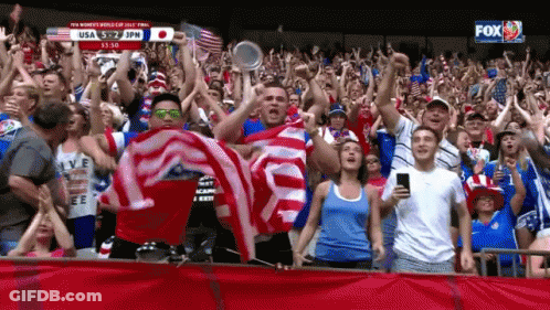 Crowd Watching Soccer Game With Fox GIF