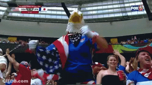 Crowd Watching Soccer Game With Fox Advertisement GIF