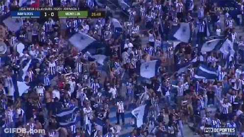 Crowd Watching Soccer Game With Fox Deportes GIF