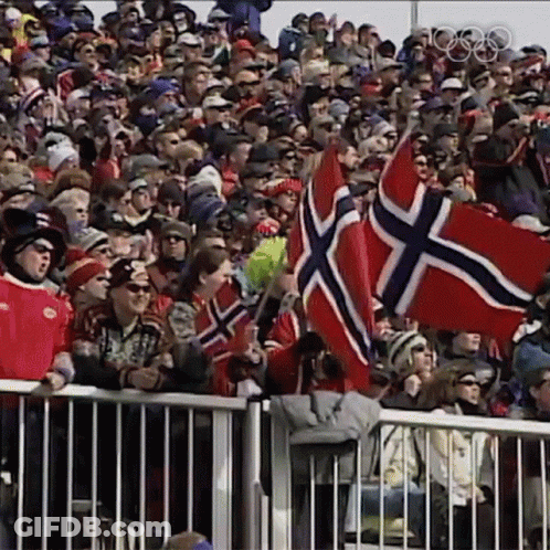 Crowd Watching Sporting Event With Flags GIF